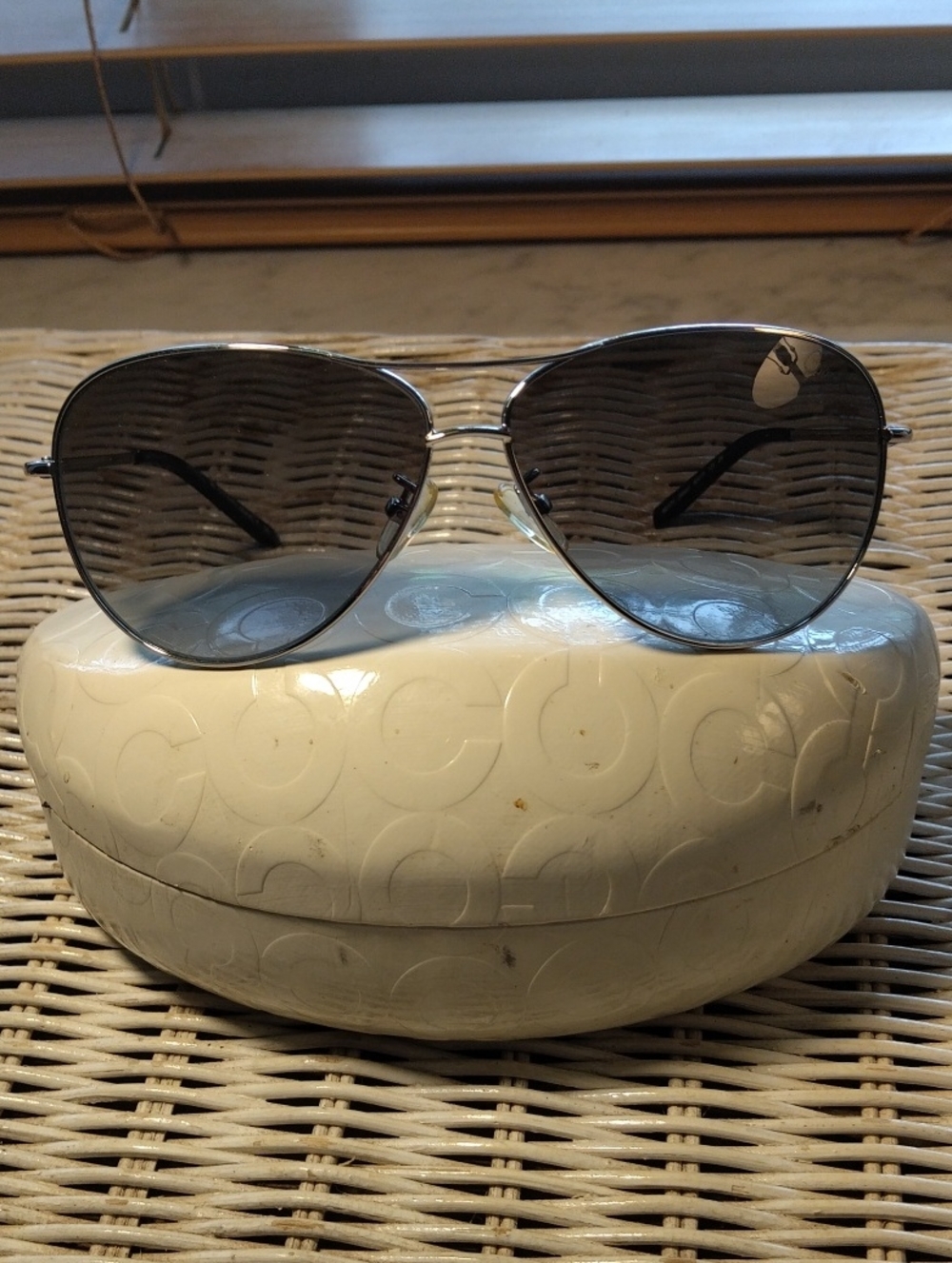Aviator Sunglasses in Silver with Gray Lenses Plus case